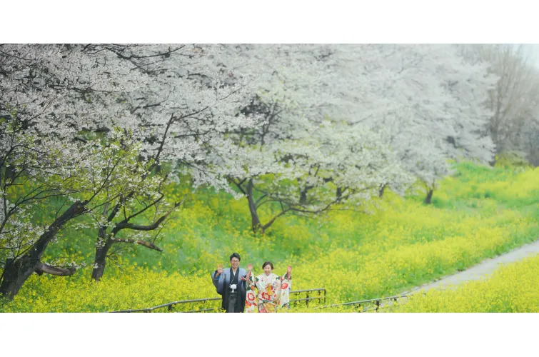 櫻堤公園(日本當地婚纱相)