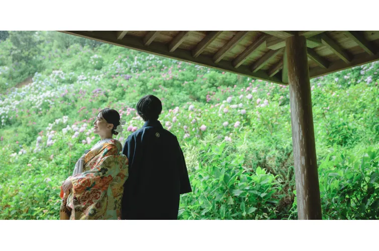 服部農園繡球花屋敷(日本當地婚纱相)